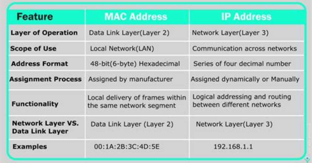 Compare Mac Address of Live Network Interface Using Grep to Existing Configuration Files