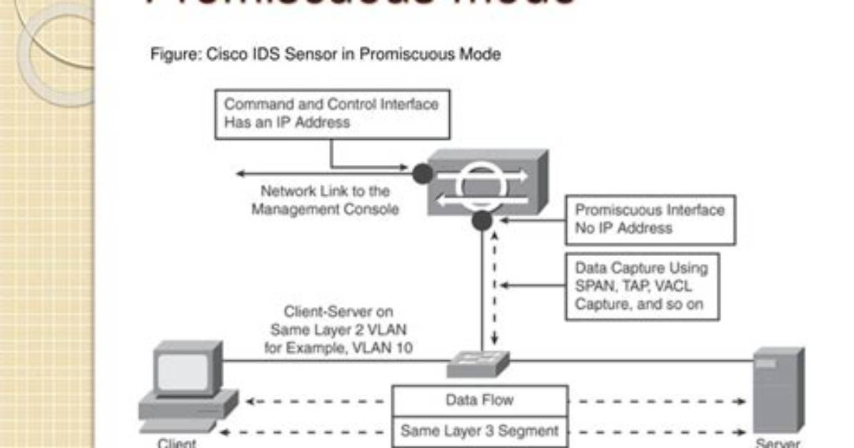 Configure a Network Interface into Promiscuous Mode