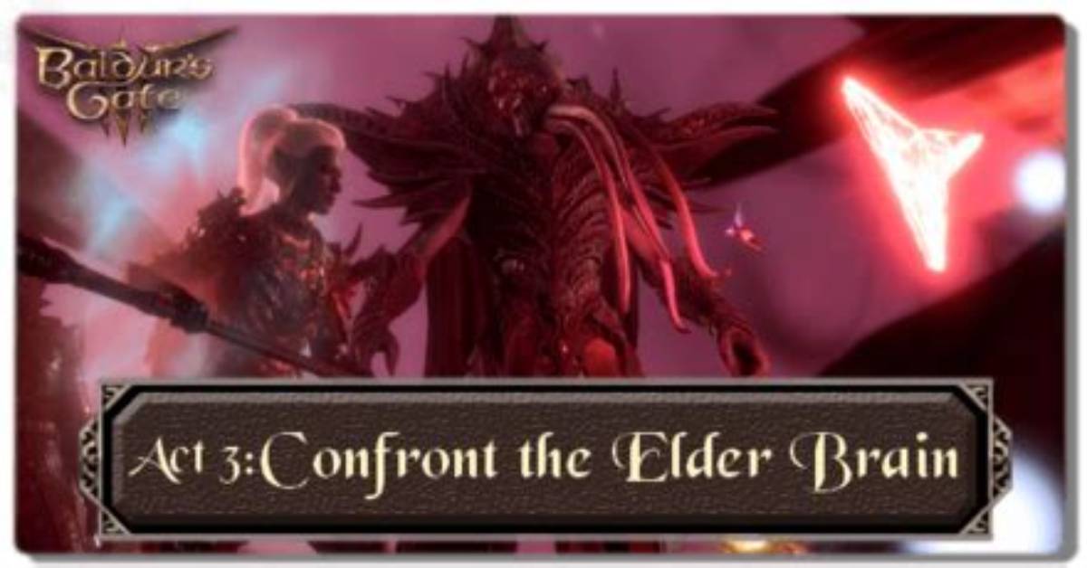 Confront the Elder Brain, Baldur's Gate 3 Quest