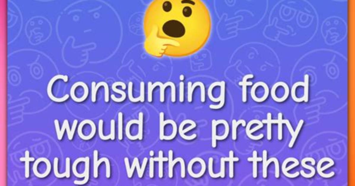 Consuming Food Would Be Pretty Tough Without These Chompers [Riddle Answers]
