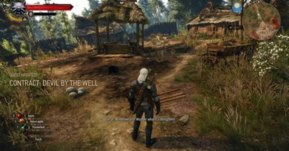 Contract: Devil by the Well, Witcher 3: Wild Hunt Quest