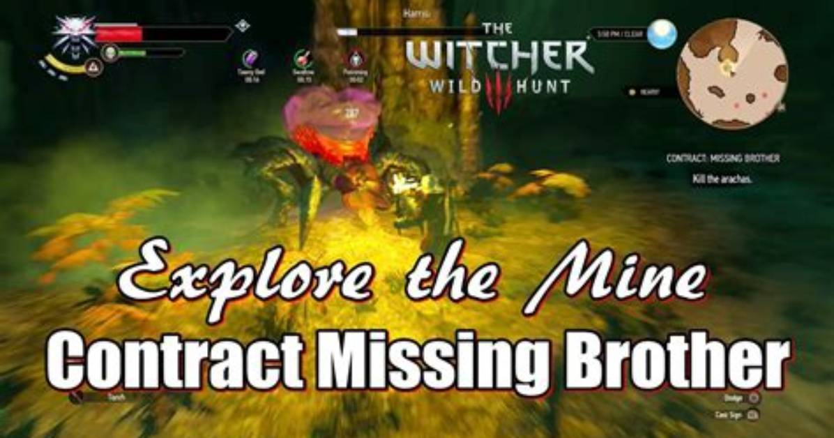 Contract: Missing Brother, Witcher 3: Wild Hunt Quest