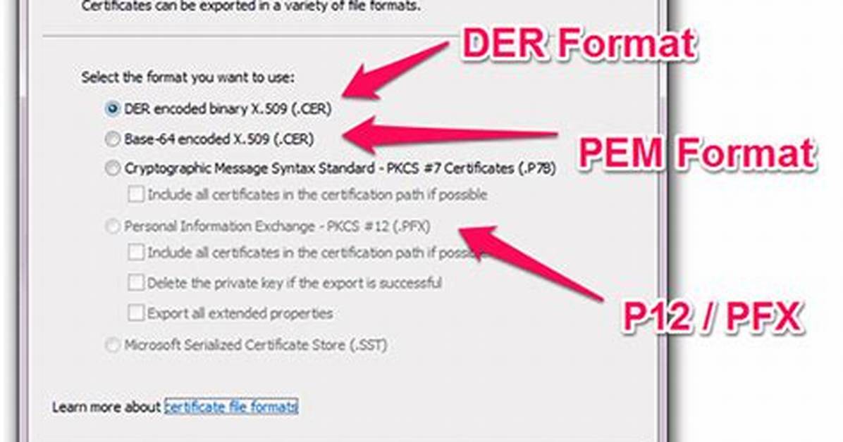 Convert a Cert/Pem Certificate to a Pfx Certificate