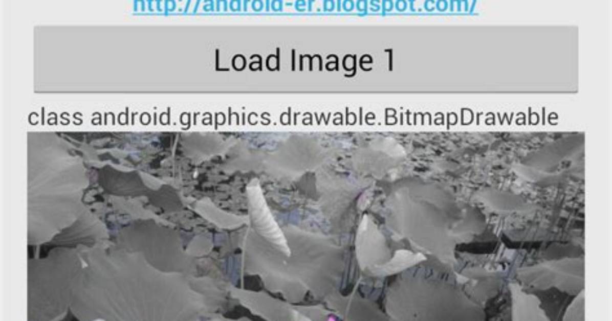 Convert Android. Graphics. Bitmap to Image