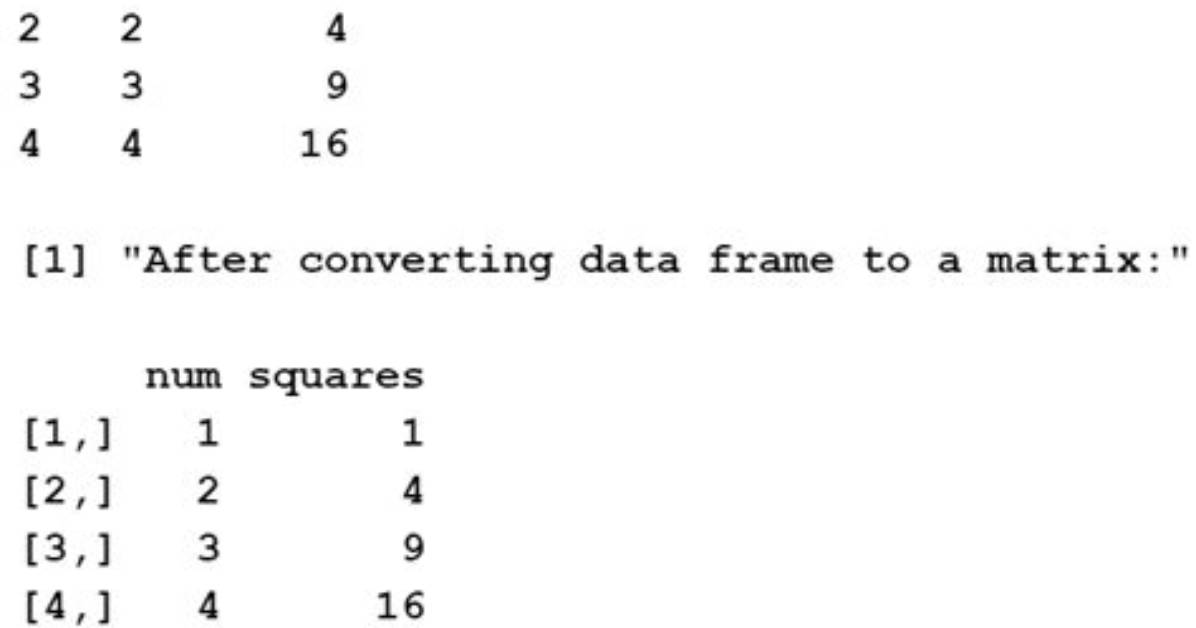 Convert Matrix to Data Frame in R