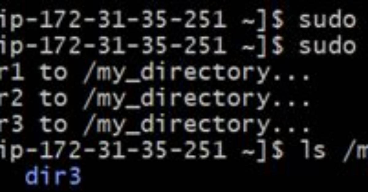 Copy Multiple Directories with One Command