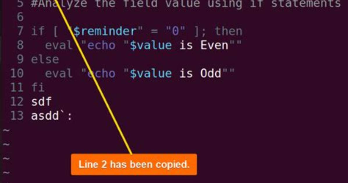 Copy Mutliple Line in Vim Until Empty Line