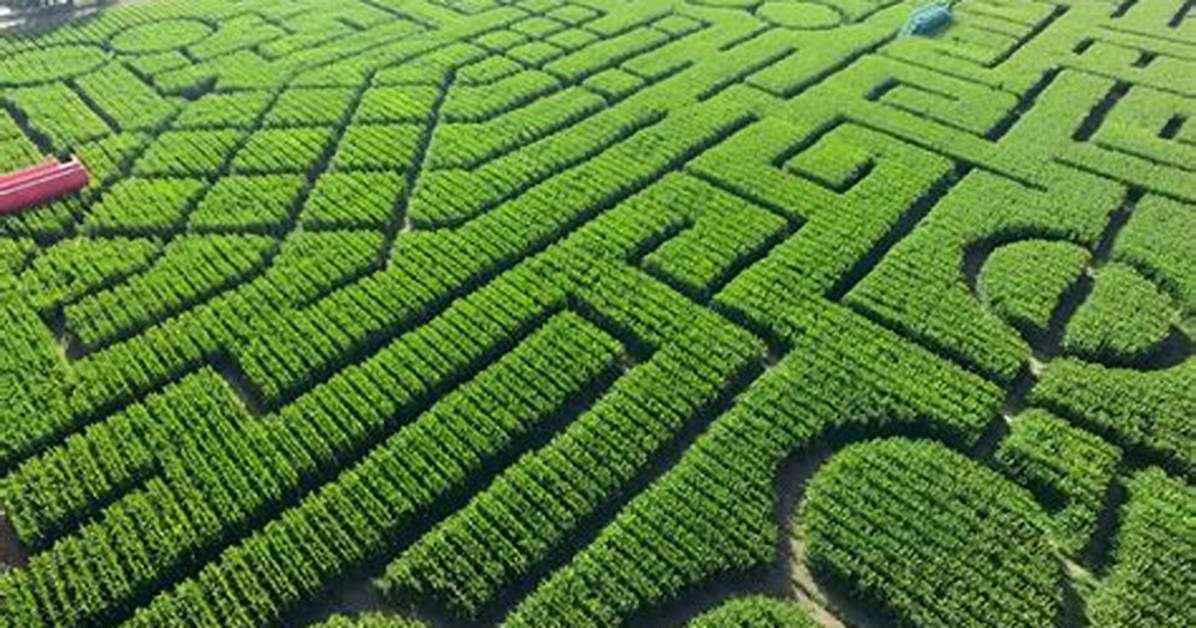 Corn Mazes Near Lincoln, Ne