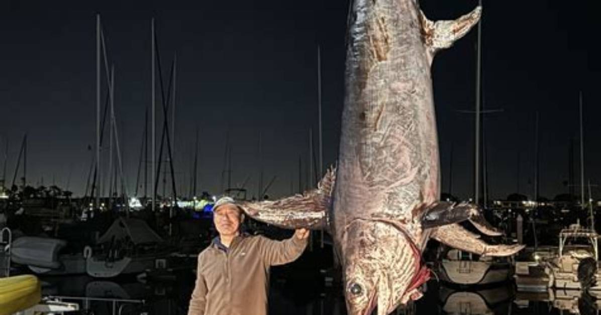 Could a Swordfish Kill a Human?