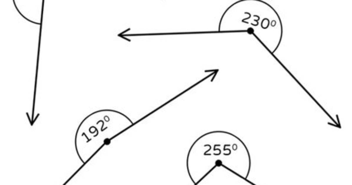 Could a Triangle Have a Reflex Angle?
