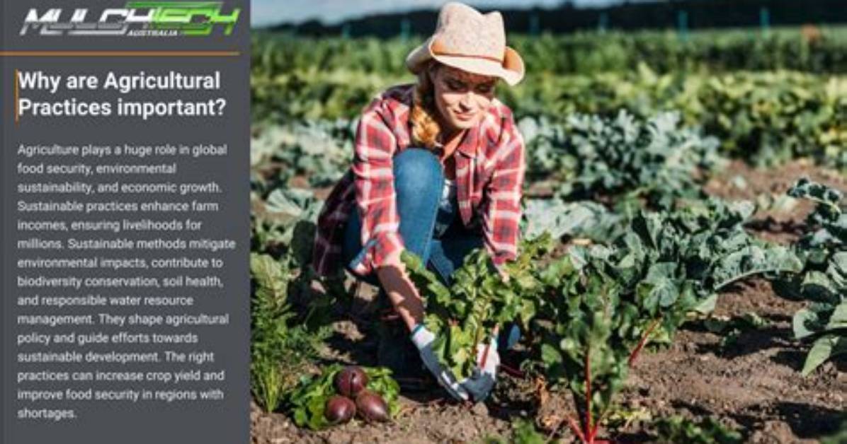 Could Agricultural Practices Affect the Soil Negatively?