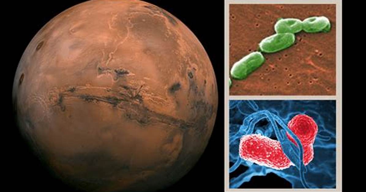 Could Bacteria Survive on Mars?