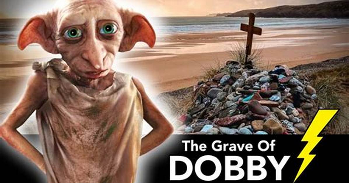 Could Dobby Have Been Saved?