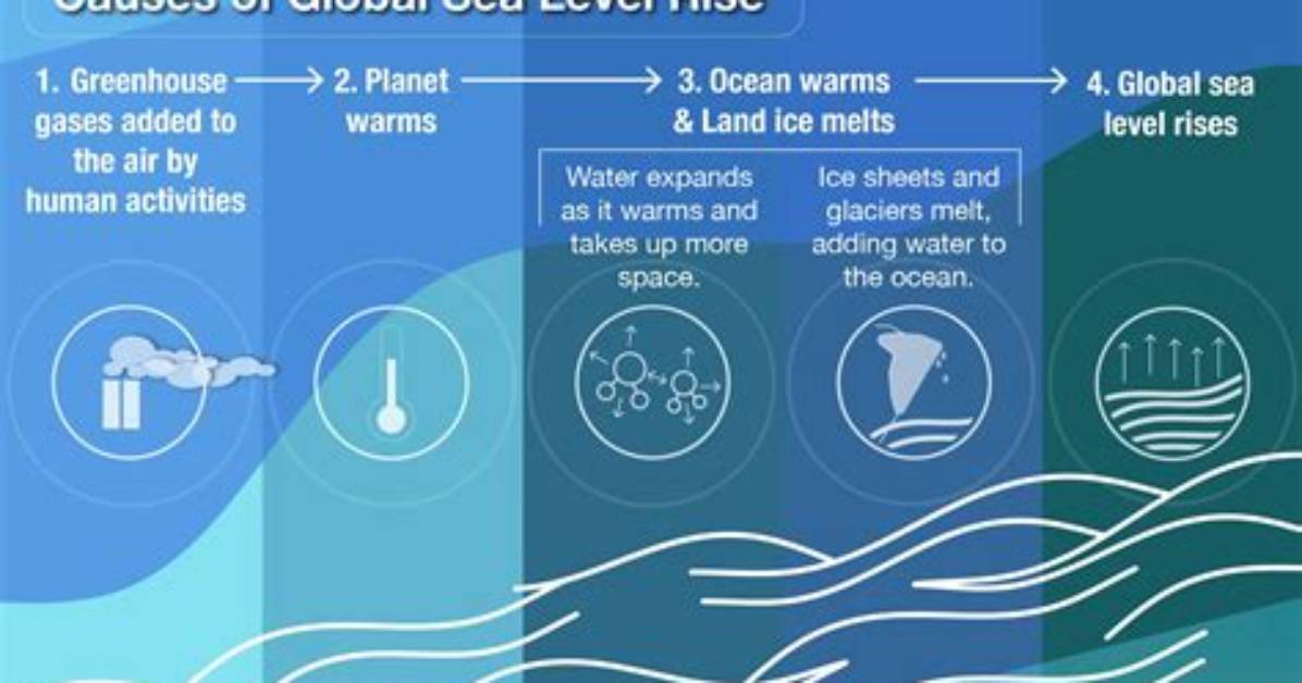 Could Global Warming Affect Sea Levels?