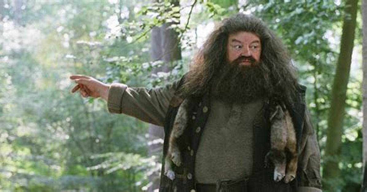 Could Hagrid Use Magic?
