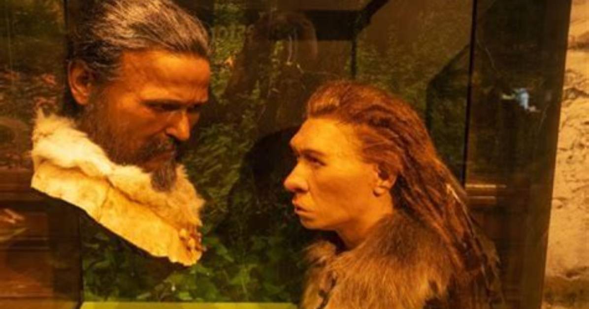Could Neanderthals Mate with Humans?