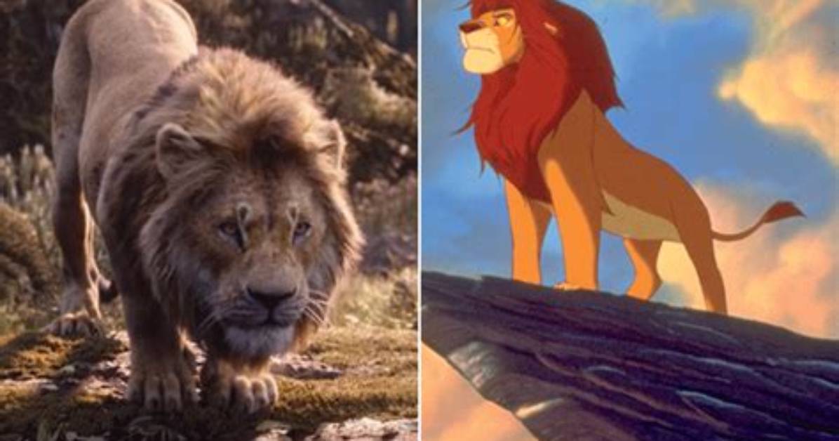 Could Simba Survive on Bugs?