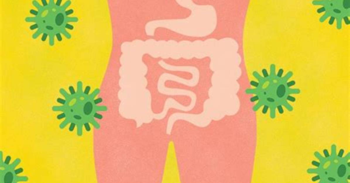 Could Stomach Bug Be Covid?