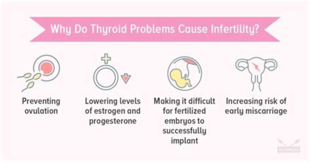 Could Thyroid Problems Cause Infertility?