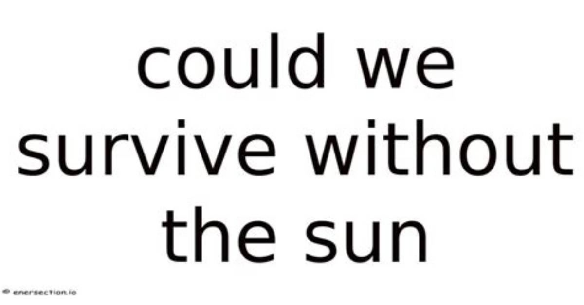 Could We Survive Without the Sun?