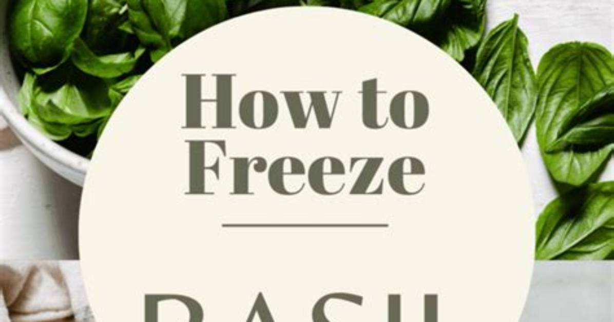 Could You Freeze Basil?