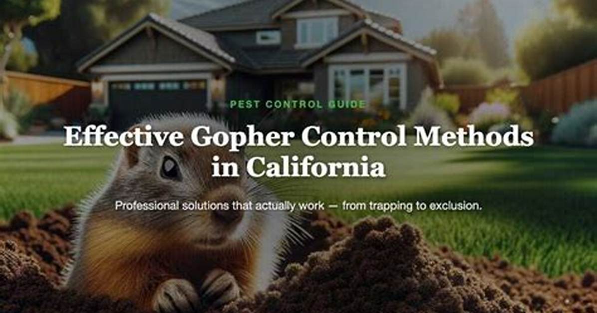 Could You Work as a Gopher?