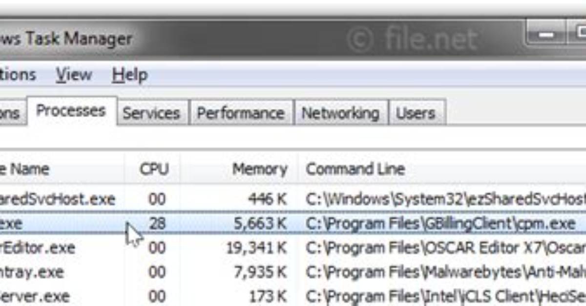 Cpm. Exe Windows Process – What Is It?