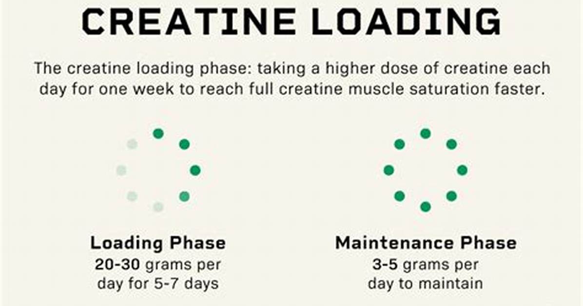 Creatine Loading Phase | Is It Really Necessary?