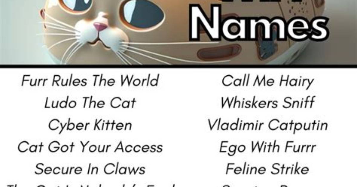 Creative and Fun Cat Wifi Names: a Complete Guide