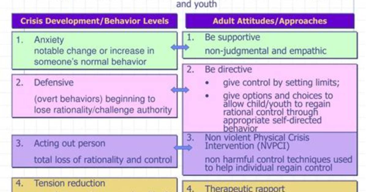 Crisis Development Behavior Levels