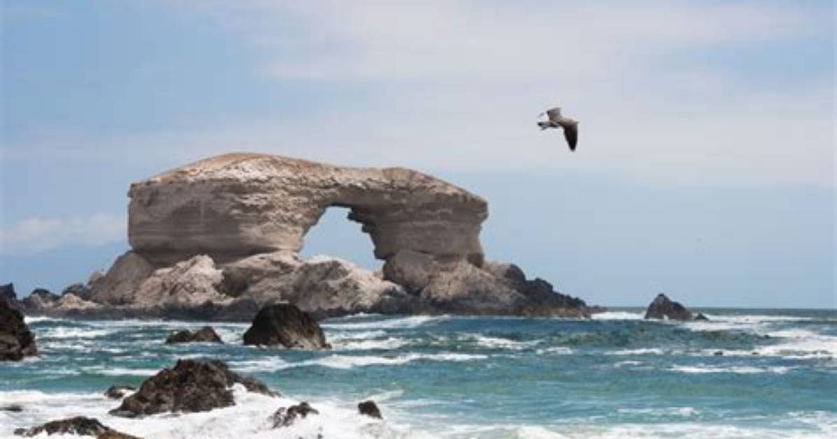 Cruise to Antofagasta, Chile | Celebrity Cruises Sweden