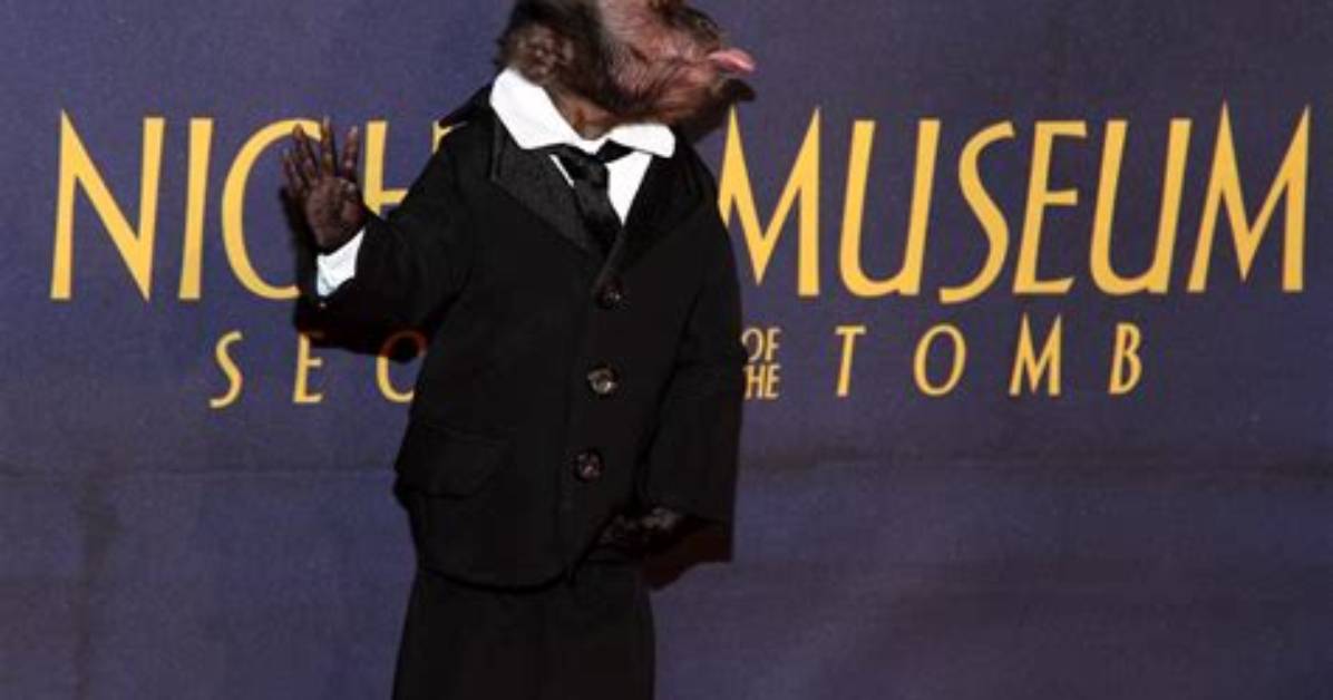 Crystal the Monkey Net Worth
