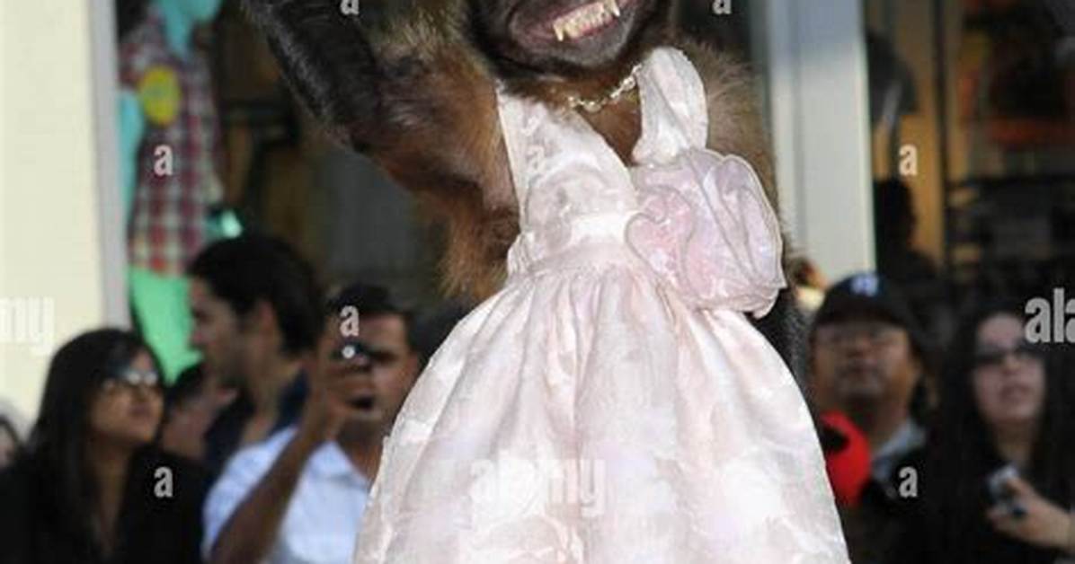 Crystal the Monkey