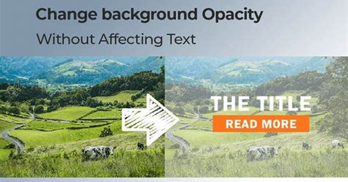 Css Background Opacity [Duplicate]