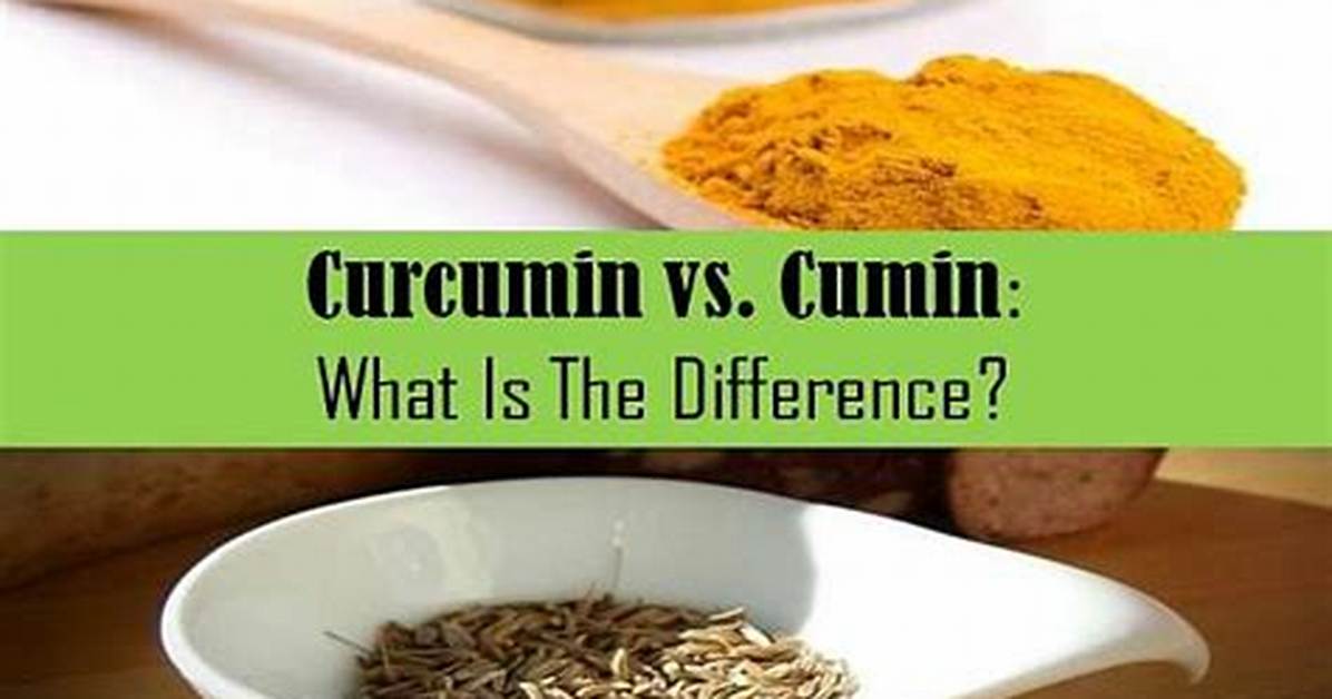 Cumin vs Curcumin