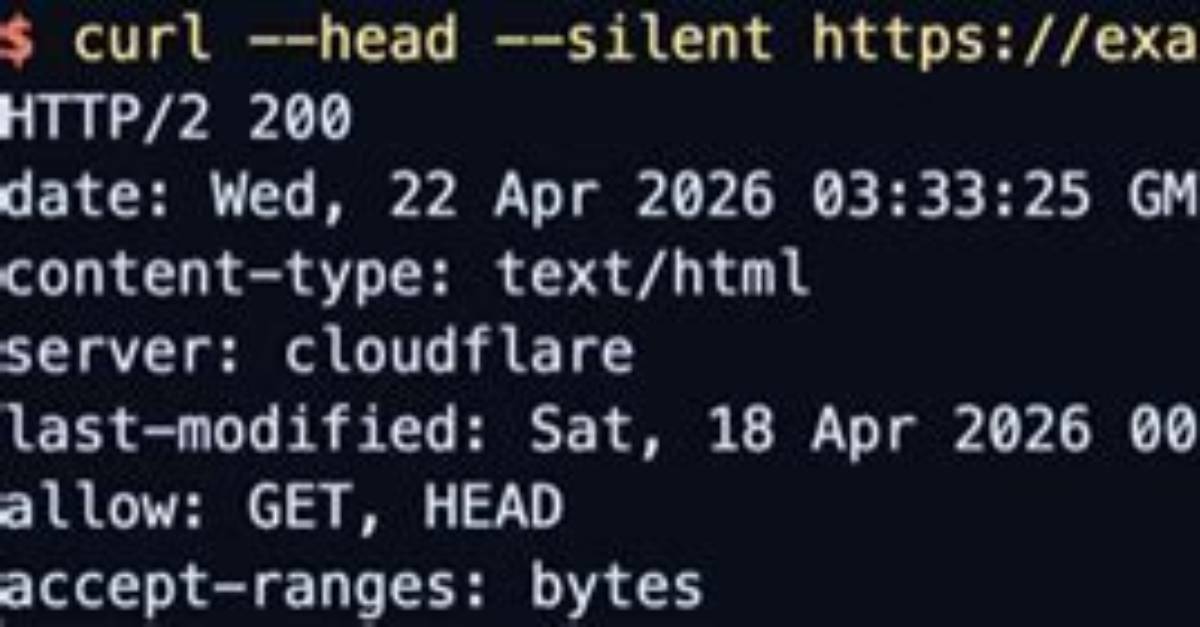 Curl: How to Send Head Request with Request Body
