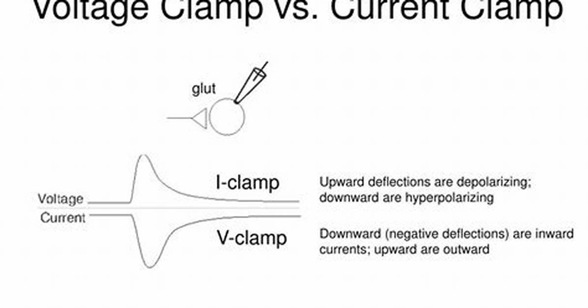 Current Clamp vs Voltage Clamp