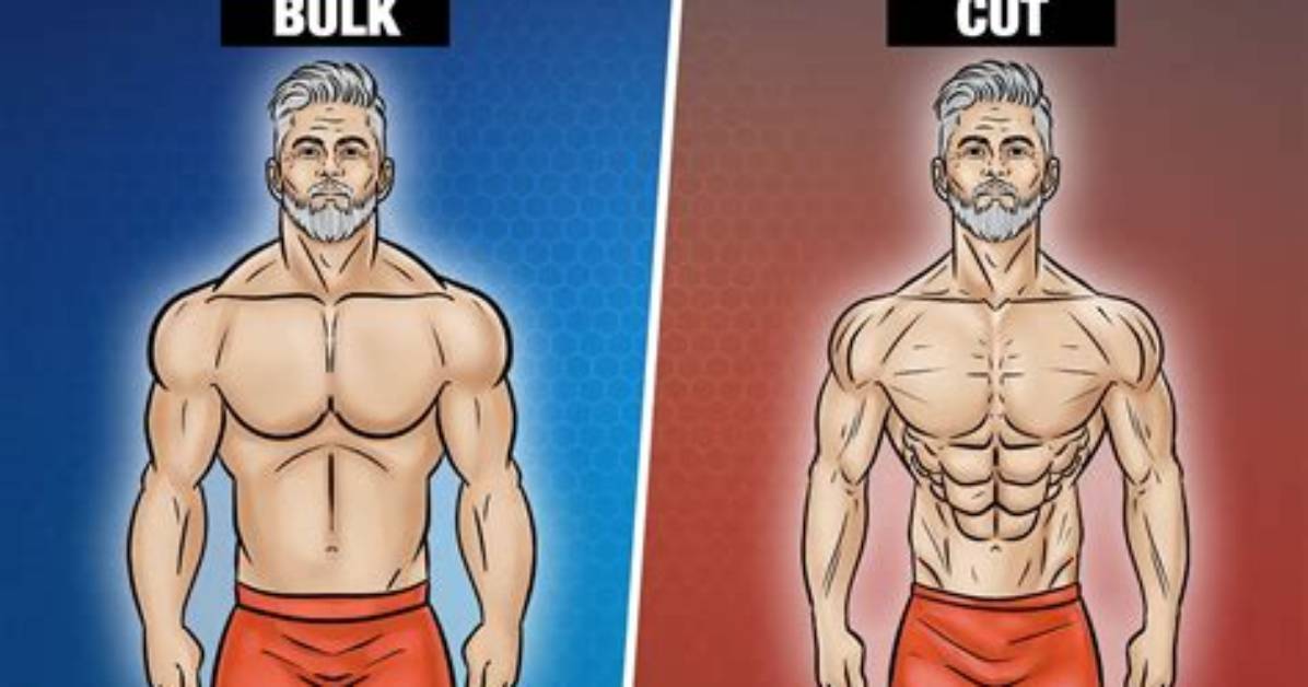 Cut or Bulk | Pt Explains Which to Do First