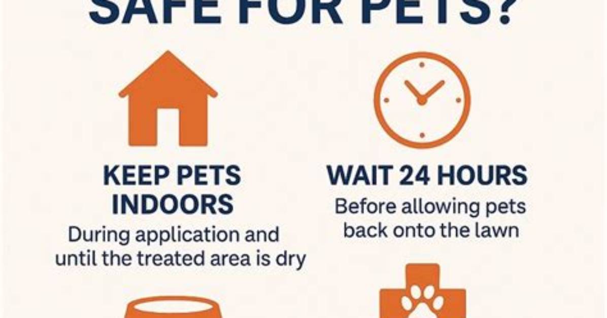 Cutter Backyard Bug Control Safe for Pets