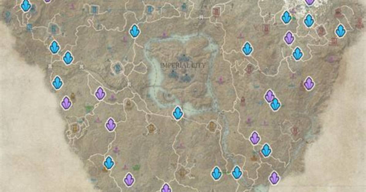 Cyrodiil Daggerfall Covenant Territory Map