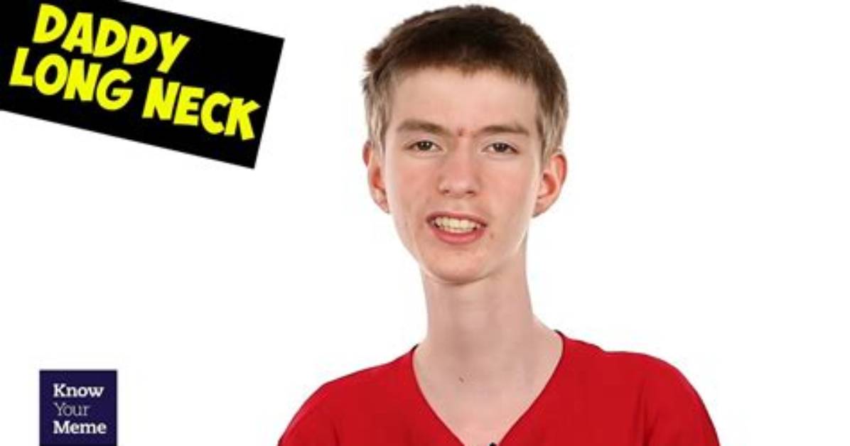 Daddy Long Neck