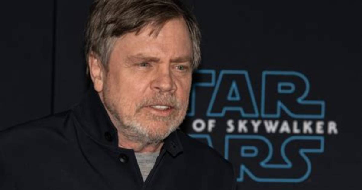 Dan Hamill Net Worth