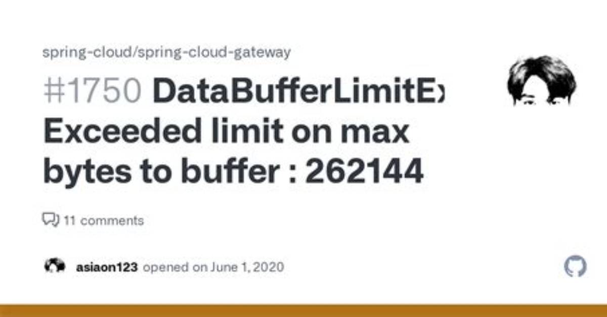 Databufferlimitexception: Exceeded Limit on Max Bytes to Buffer Webflux Error