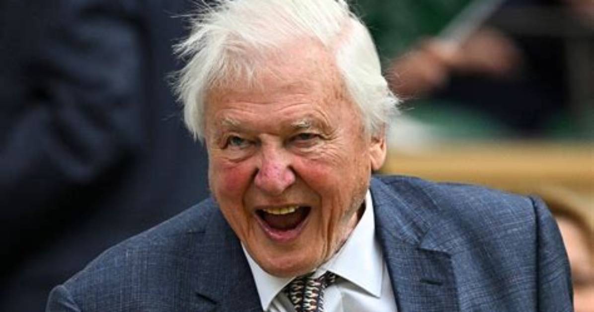 David Bloom Net Worth 2024