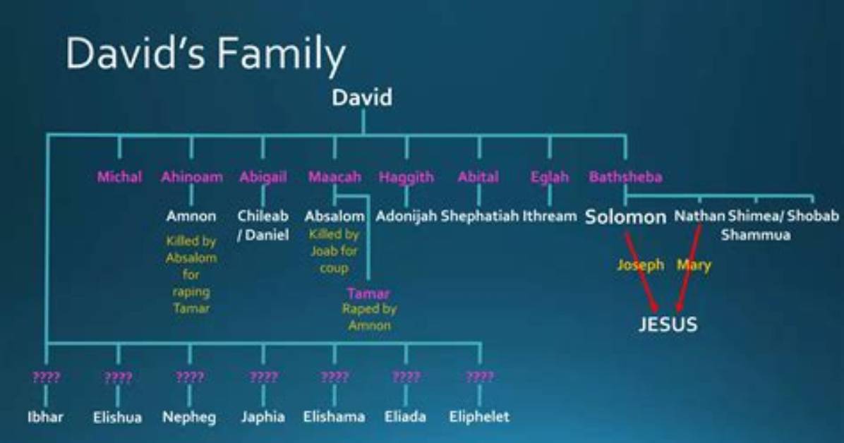 David Bonderman – Family, Family Tree