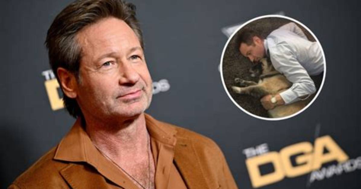 David Duchovny