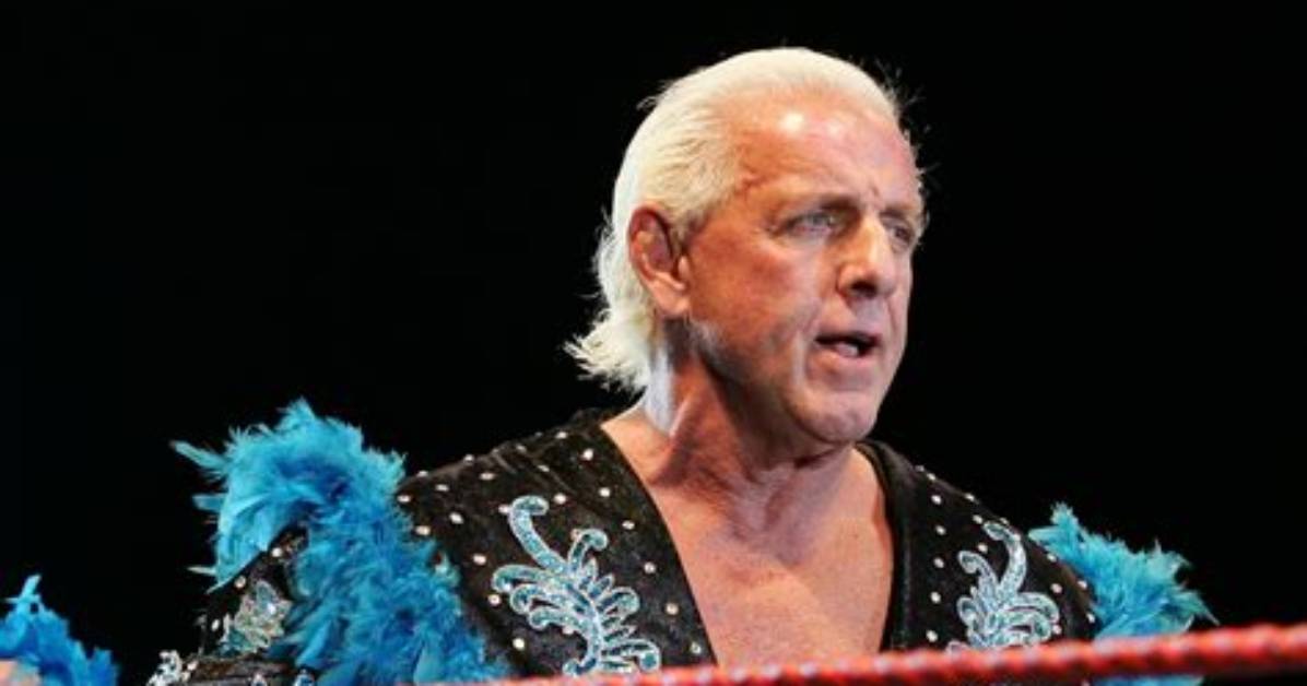 David Flair Net Worth