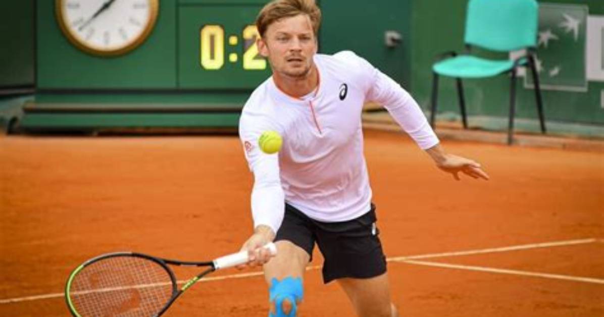 David Goffin Net Worth