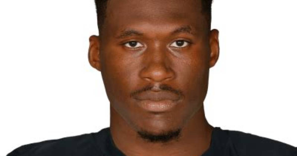 David Irving Net Worth