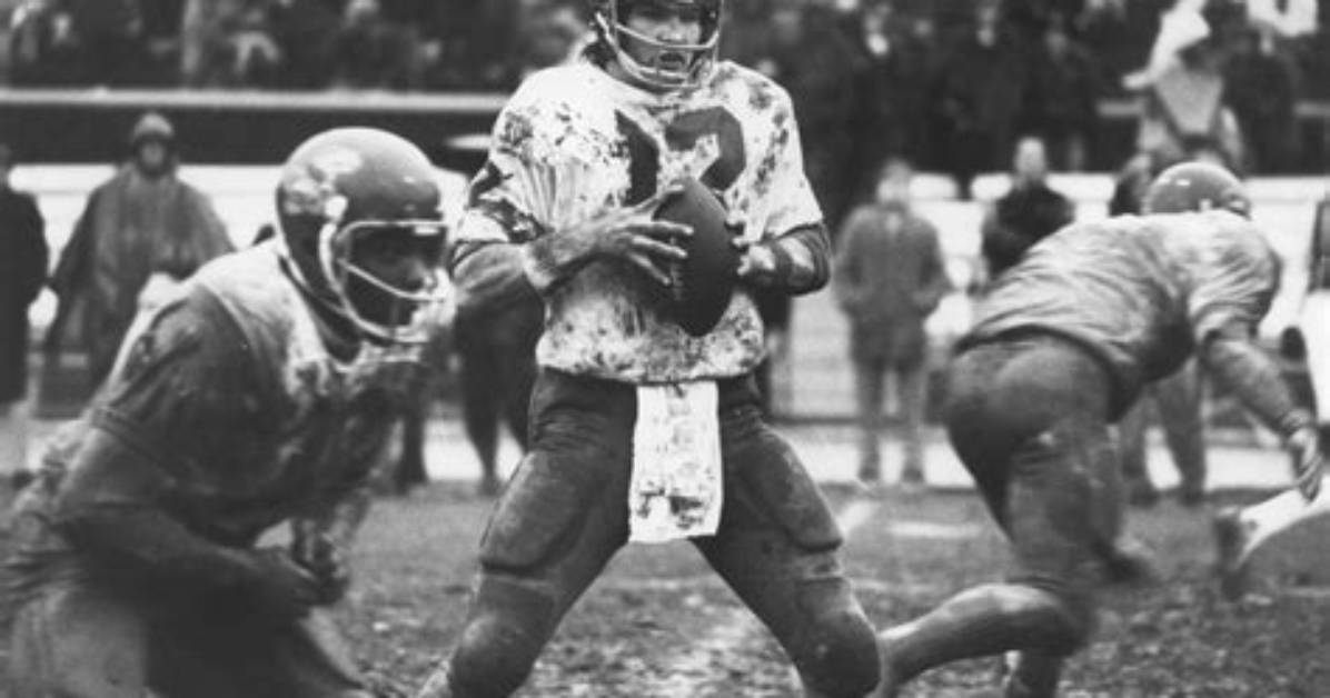 David Jaynes